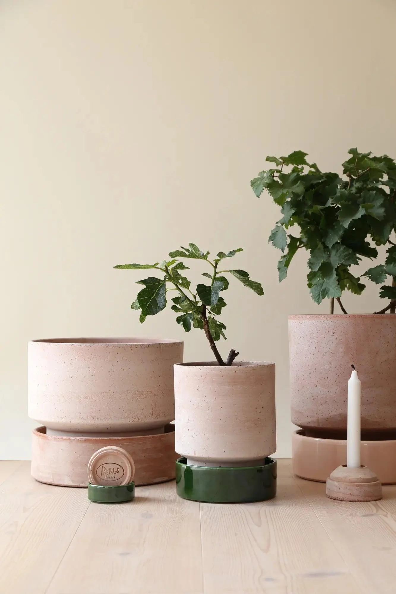 Bergs Potter Hoff Pot Rose