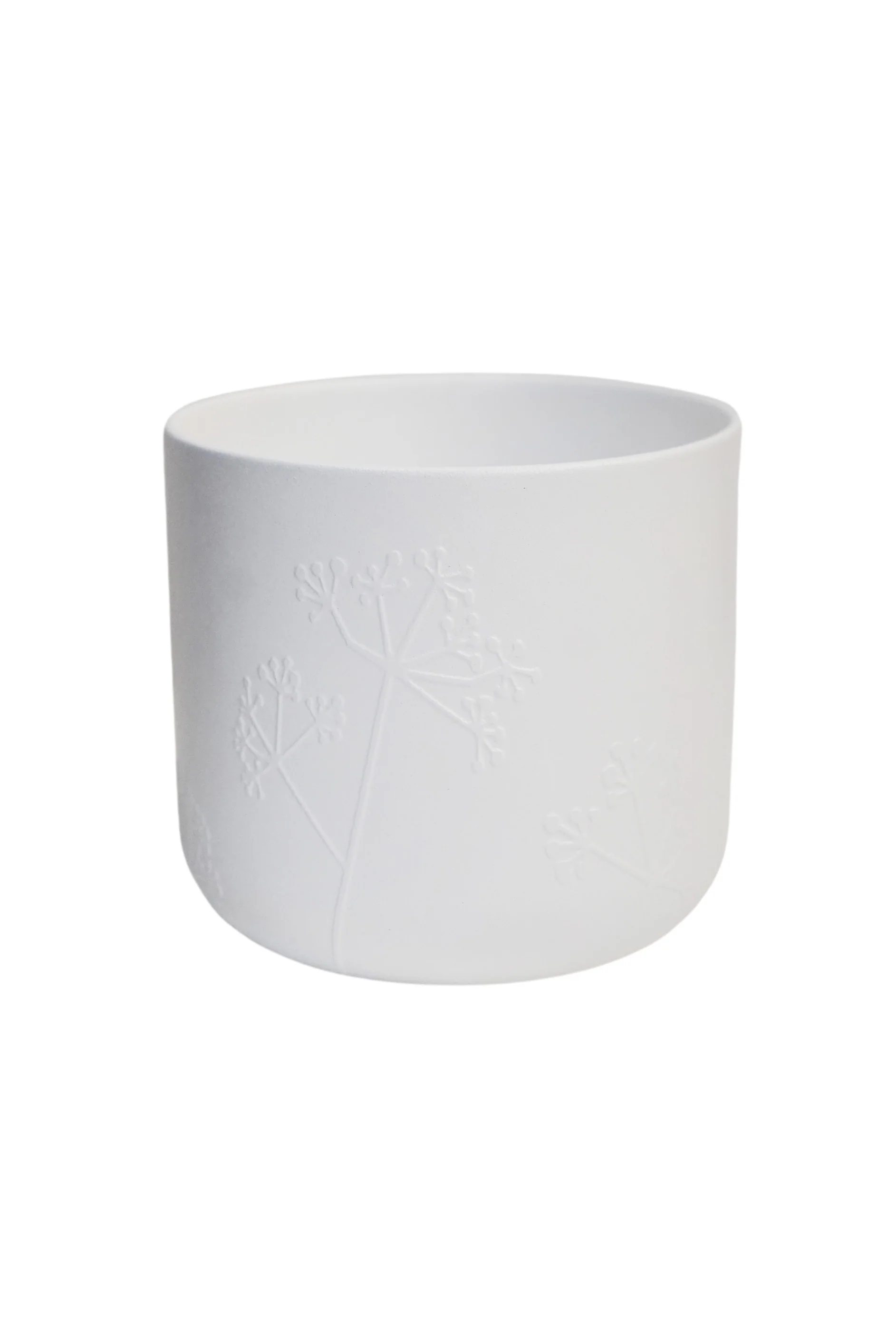 Cow Parsley Pot White