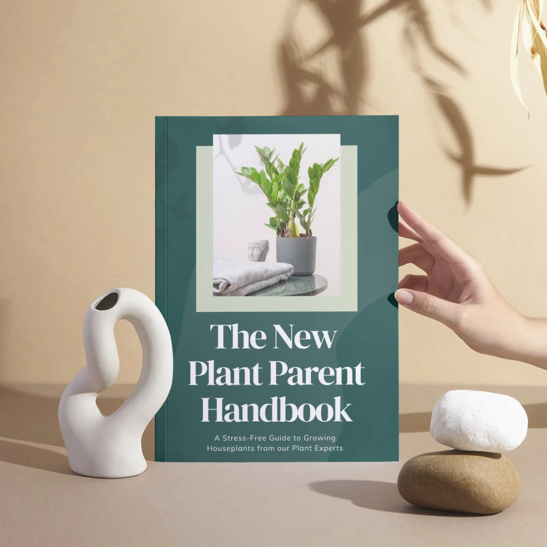 eBook: The New Plant Parent Handbook - Image 2