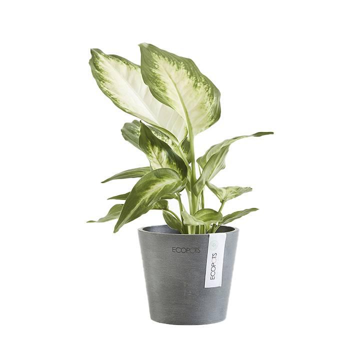 Ecopots Amsterdam Grey