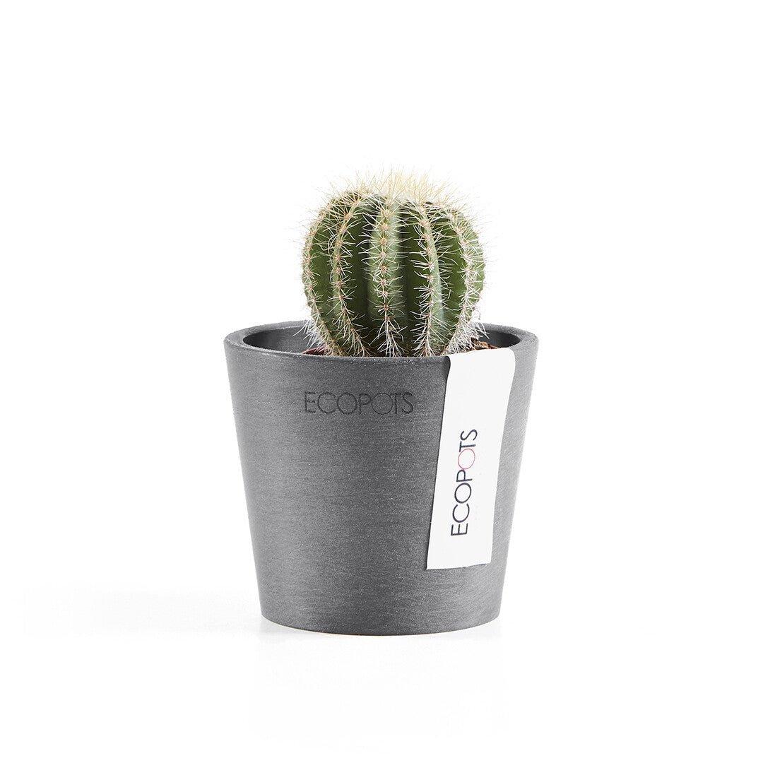 Ecopots Amsterdam Grey - Image 2