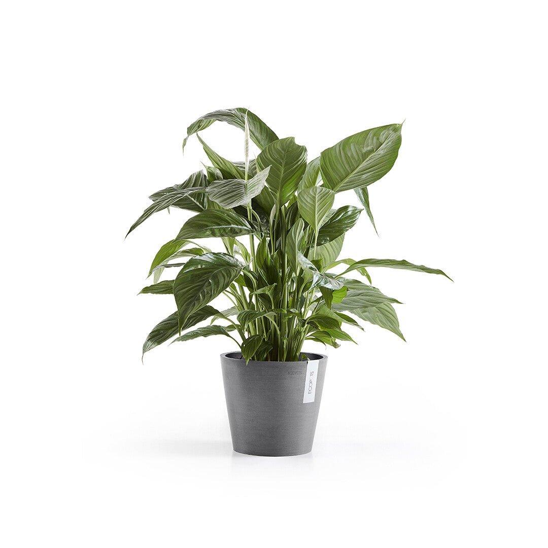Ecopots Amsterdam Light Grey - Image 5