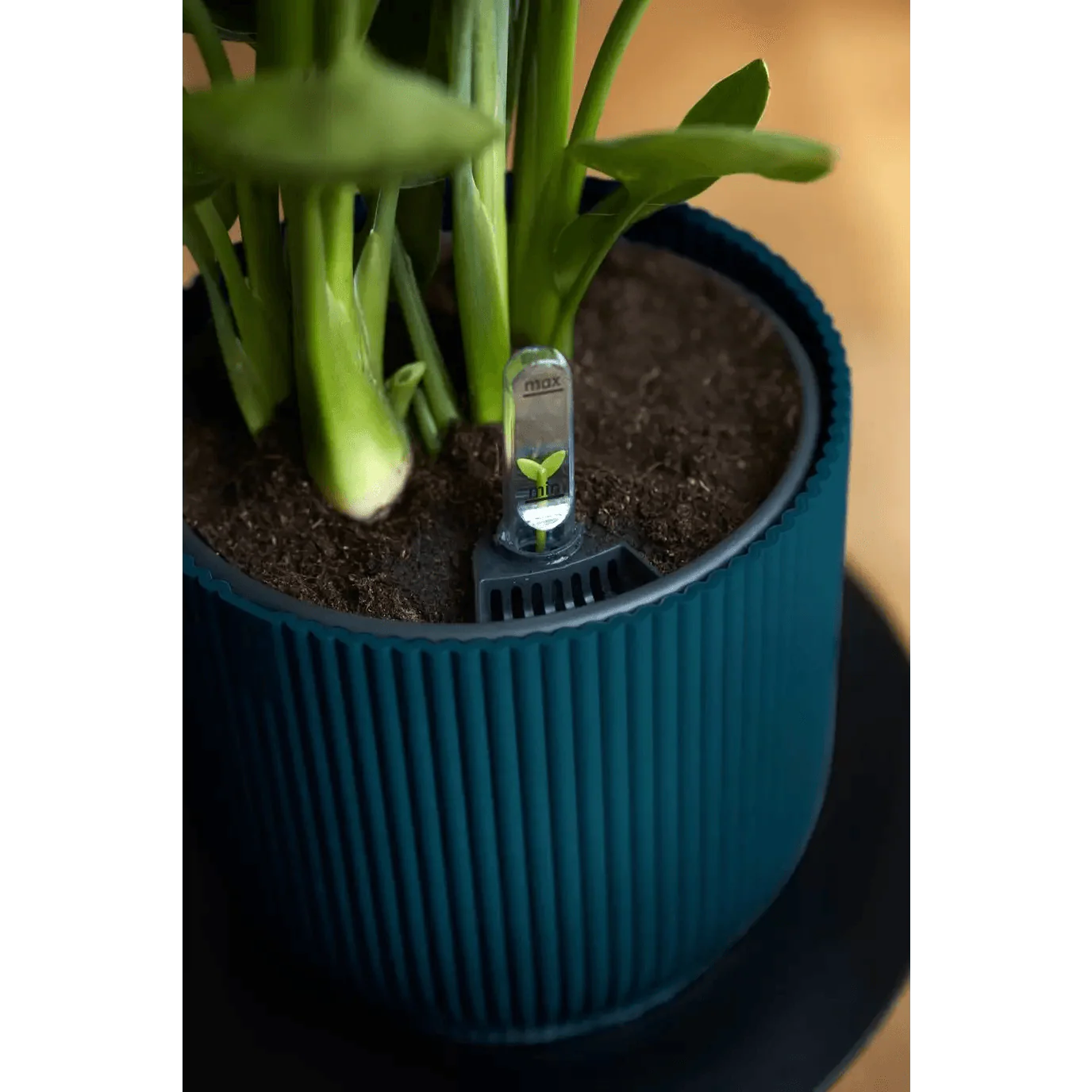 Elho Vibes Fold Round Pot - Image 5