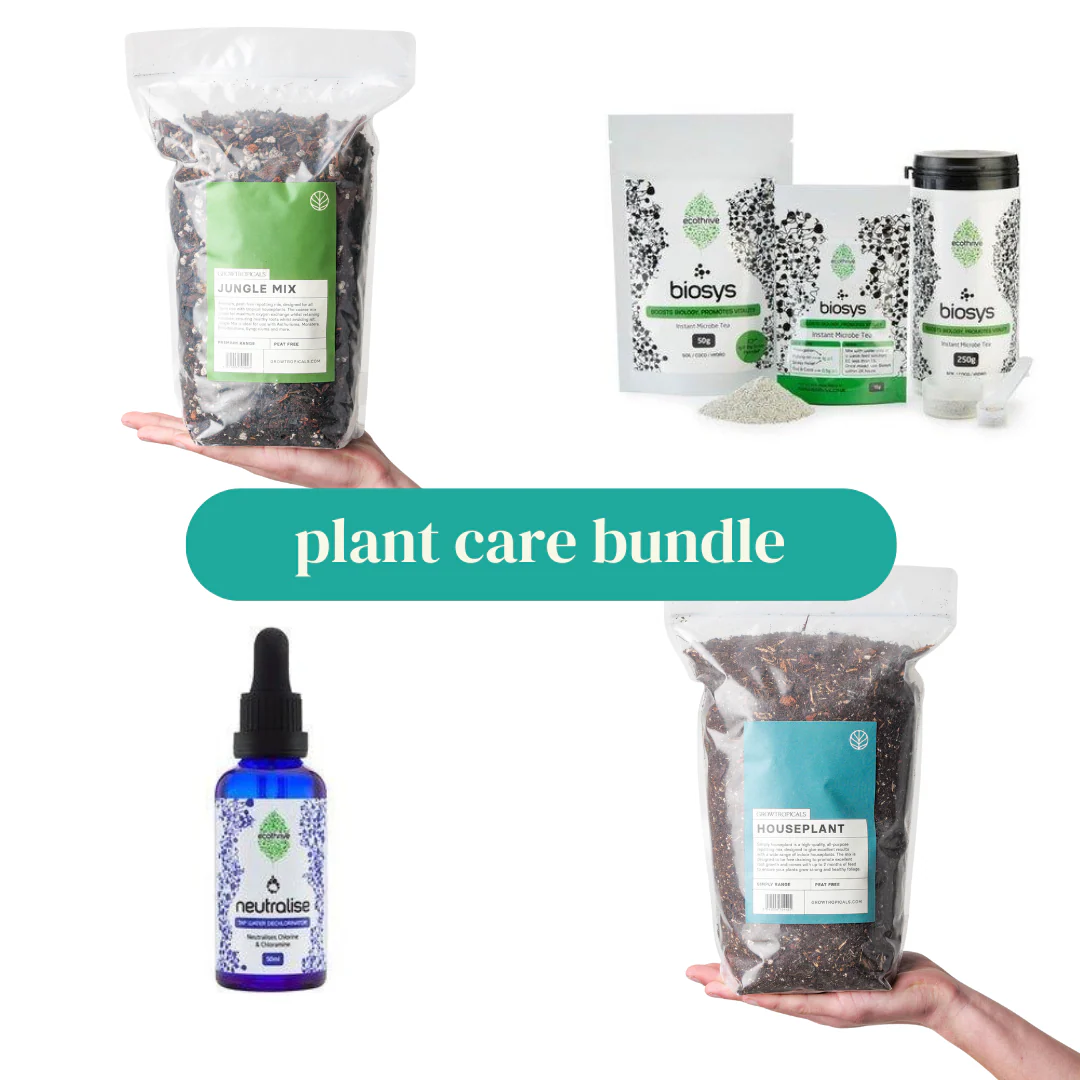Plant Care Bundle