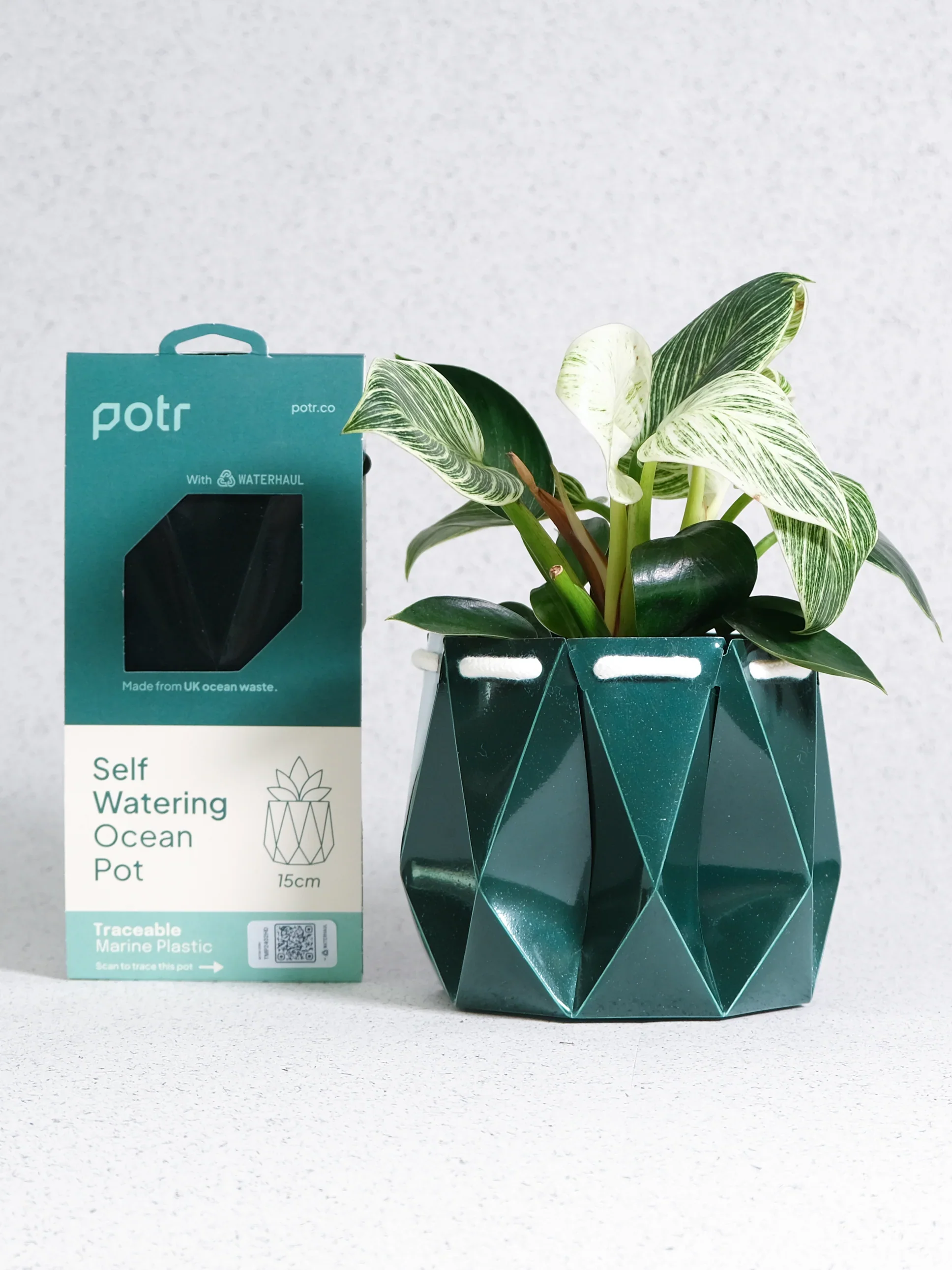 POTR Ocean Pot Deep Green - Image 3