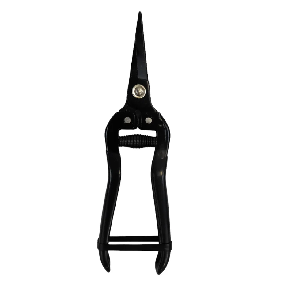 Pruning Snips